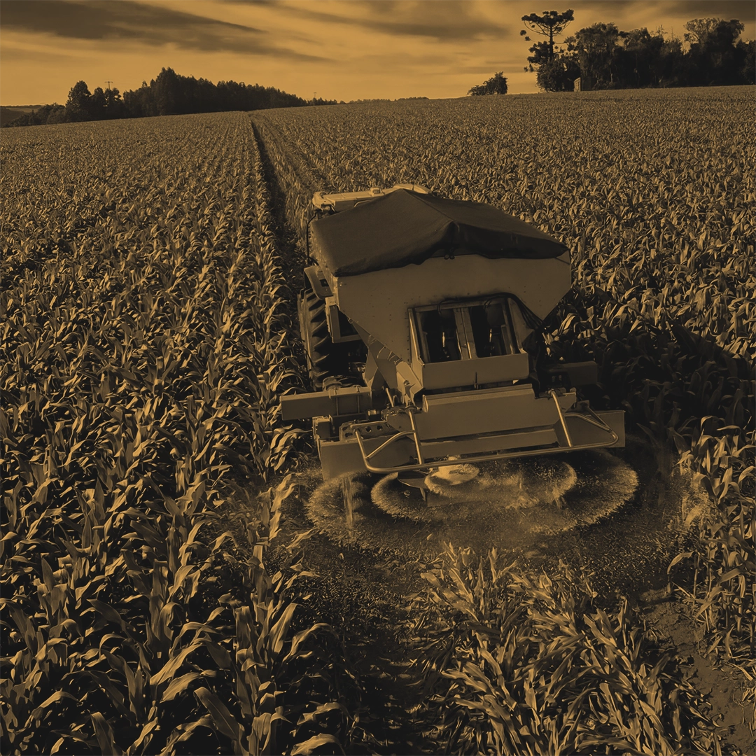 Máquina colheitadeira trabalhando em uma palntação de milho